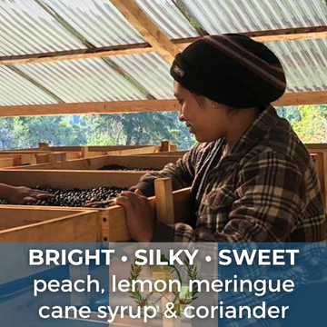 Guatemala Finca Los Conejos Hot Anaerobic